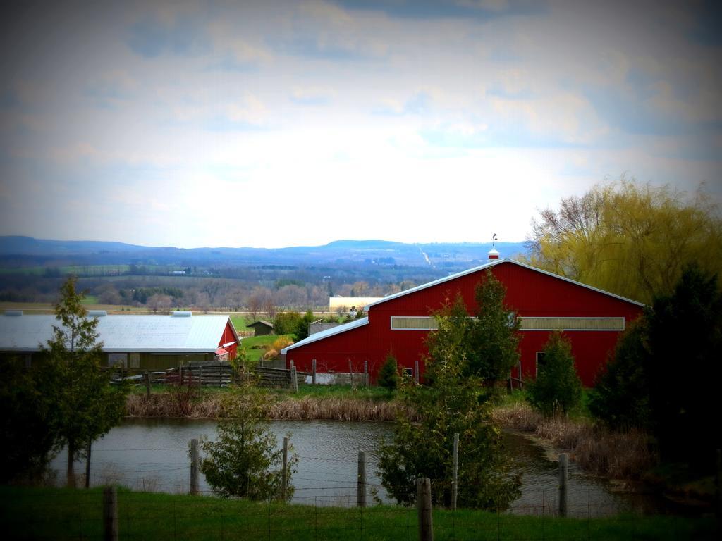 Heathcote Haven Bed & Breakfast Clarksburg Εξωτερικό φωτογραφία